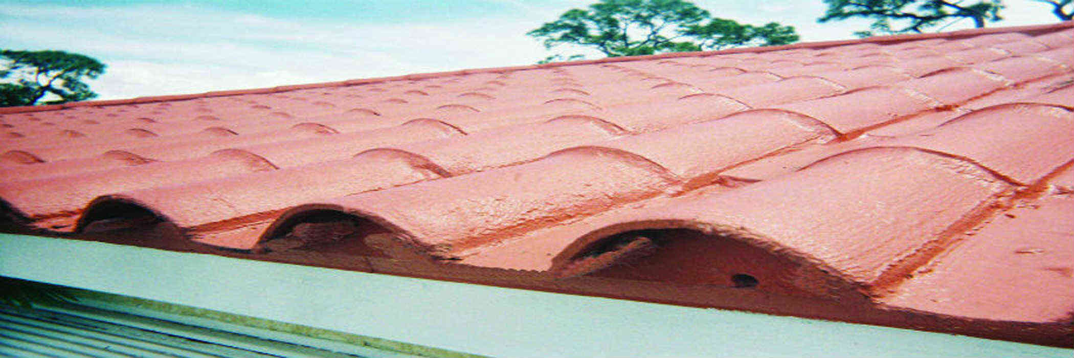 Best Roof Paint, Roof Coatings and Roof Waterproofing